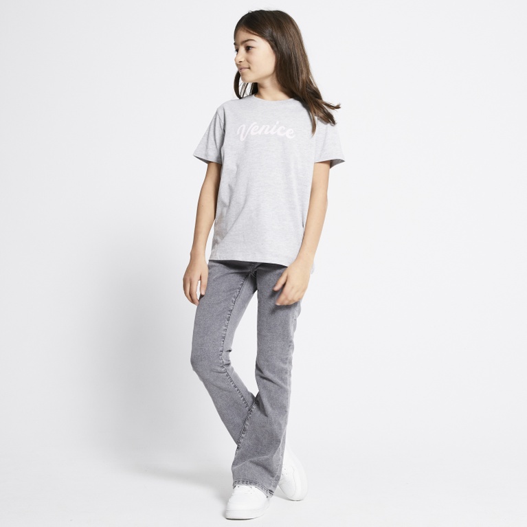 Printed t-shirt "Dusty star"